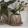 Wild Mushroom Pot with Saucer