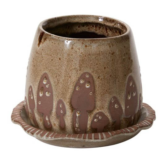 Wild Mushroom Pot with Saucer