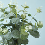 Eucalyptus Foliage Set of 2