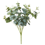 Eucalyptus Foliage Set of 2