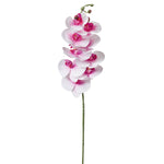 Moon Orchid Stem Foilage Set of 4