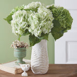 Hydrangea Foilage Bundle