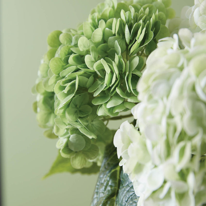 Hydrangea Foilage Bundle