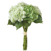 Hydrangea Foilage Bundle