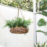 Cabana Plant Hanger