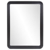 Joelle Wall Mirror