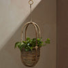 Ordesa Hanging Basket