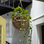 Ordesa Hanging Basket