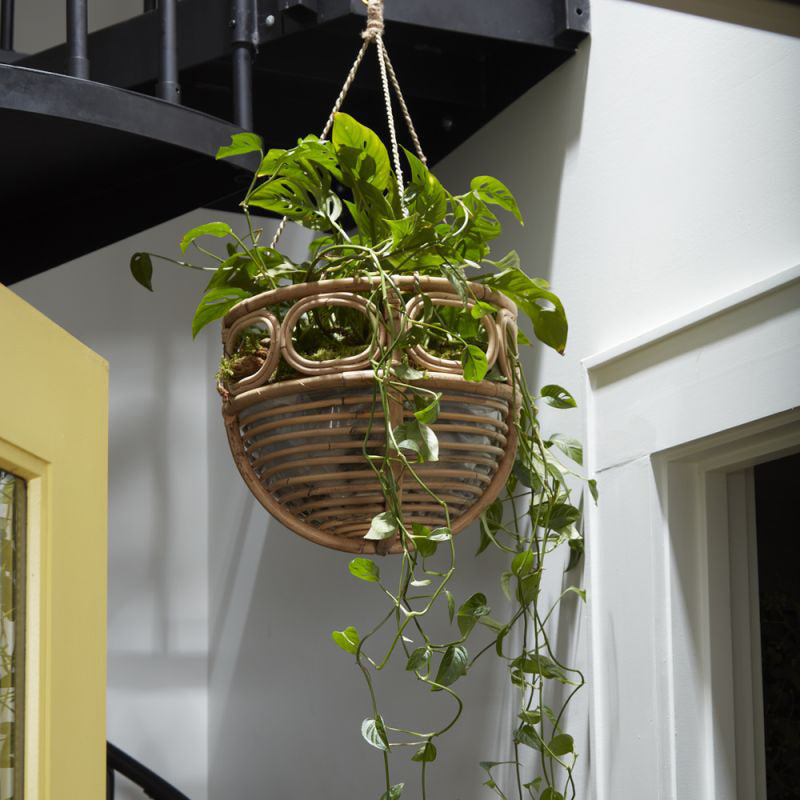 Ordesa Hanging Basket