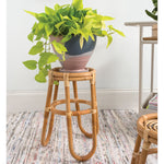 Barefoot Plant Stand