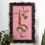 Vipera Wall Art