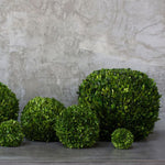 Boxwood Sphere