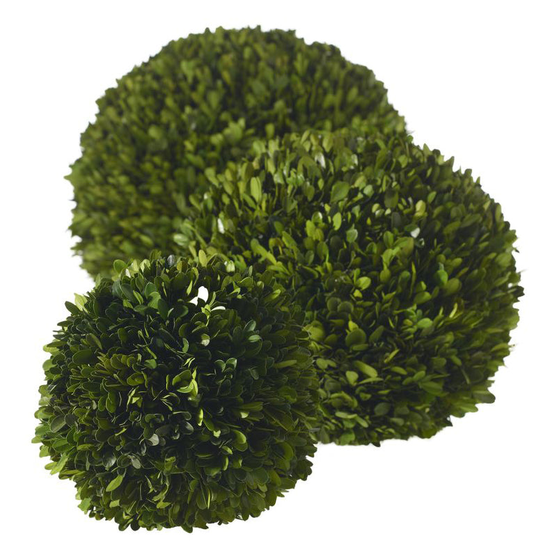 Boxwood Sphere