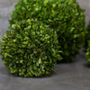 Boxwood Sphere