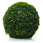 Boxwood Sphere