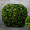 Boxwood Sphere