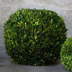 Boxwood Sphere