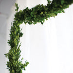 Boxwood Garland