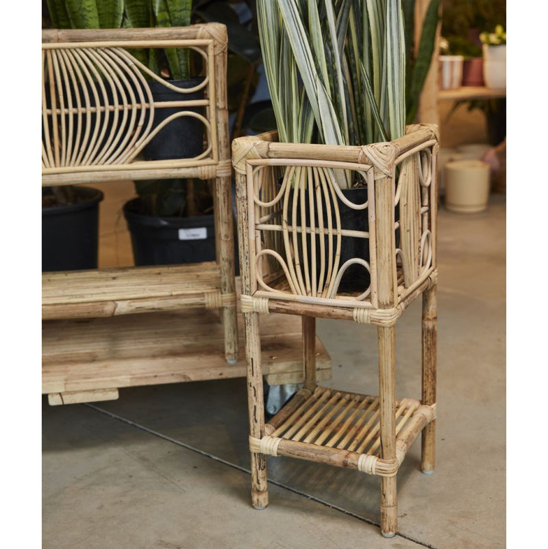 Harbin Plant Stand