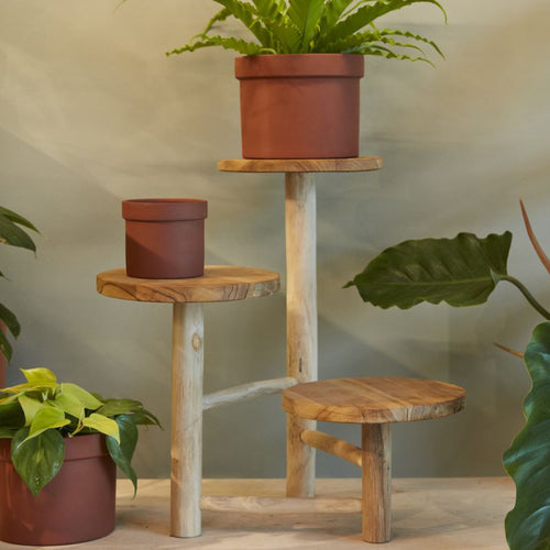 Obispo Plant Stand