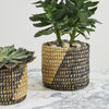 Zouk Basket Set of 2