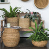 Hacienda Basket Set of 3