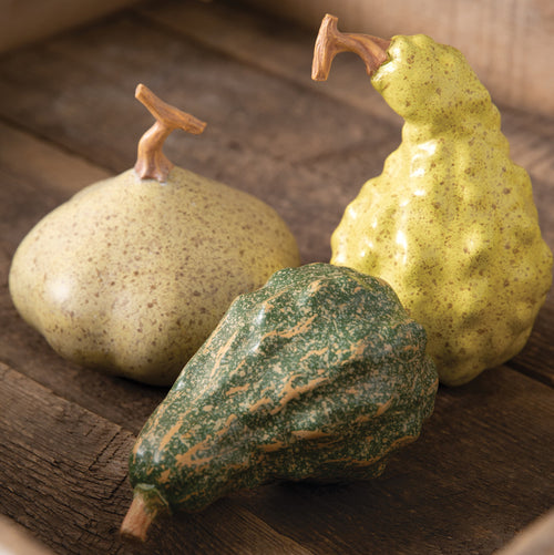 Autumn Gourd Set of 3