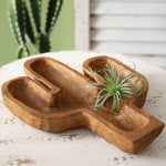 Cactus Dough Display Bowl