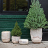 Elmwood Planter