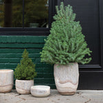 Elmwood Planter