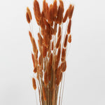 Lagurus Faux Plant Stem Bundle