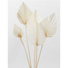 Bleached Palm Faux Plant Stem Set of 10