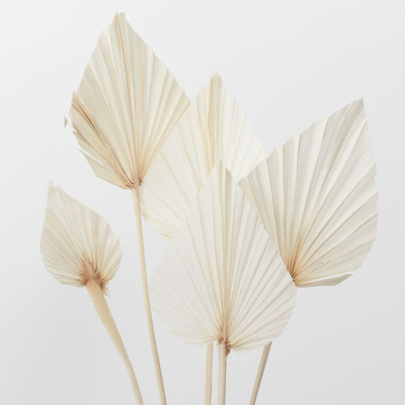 Bleached Palm Faux Plant Stem Set of 10