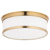 Hudson Valley Lighting Geneva Flush Mount