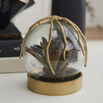 Spider Gold Cloche