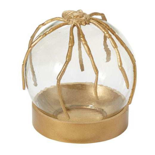 Spider Gold Cloche