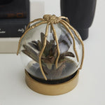 Spider Gold Cloche