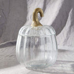 Translucent Pumpkin Terrarium