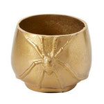 Cellar Spider Pot Set of 2