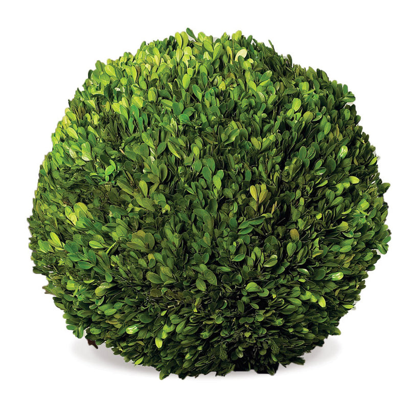 Boxwood Ball