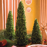 Boxwood Mini Tree Set of 3