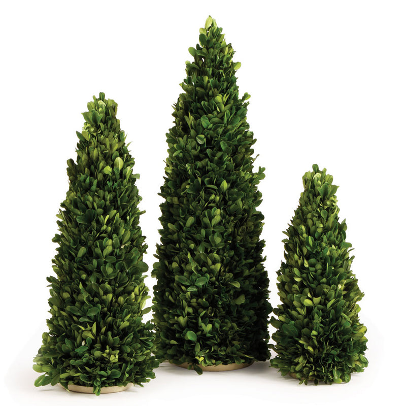 Boxwood Mini Tree Set of 3