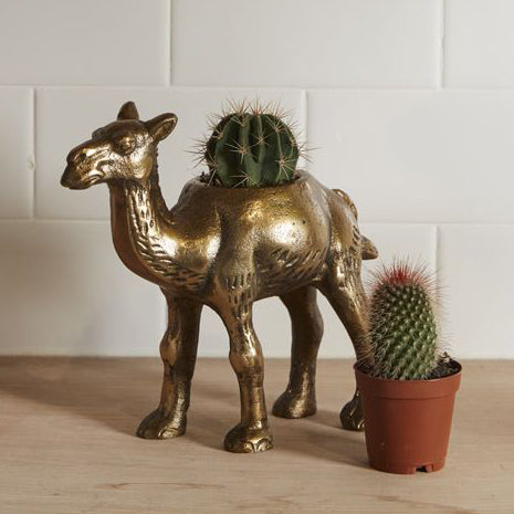 Camel Planter