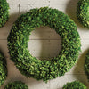 Boxwood English Wreath