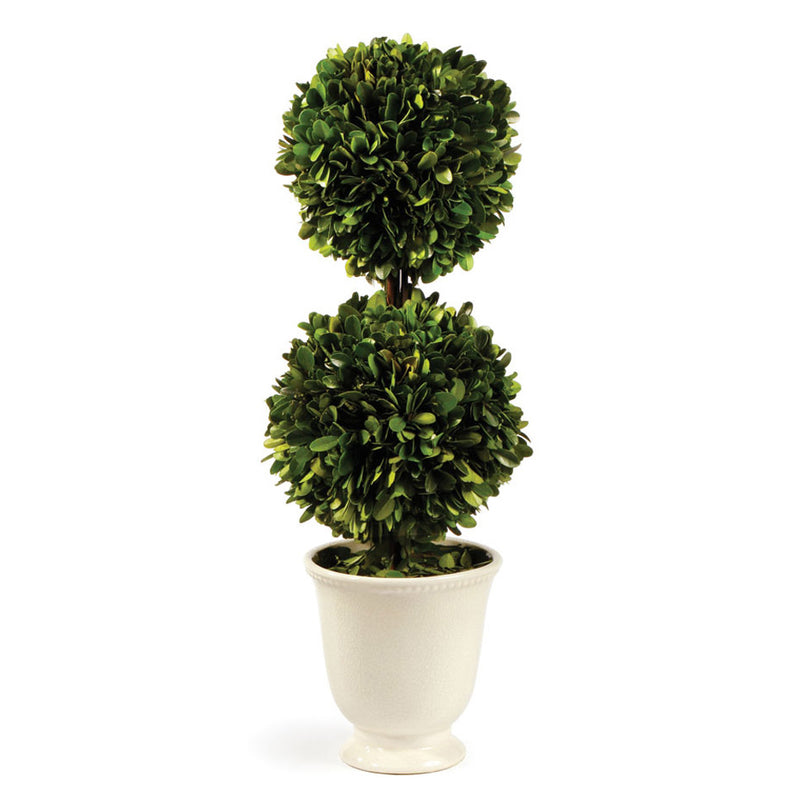 Boxwood Topiary in Beaded White Pot