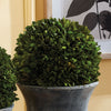 Boxwood Ball