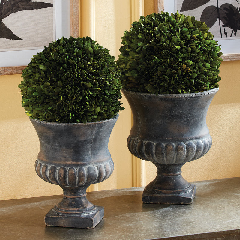 Boxwood Ball