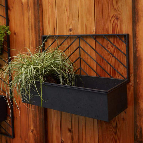 Wilshire Wall Planter