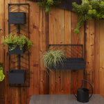 Wilshire Wall Planter