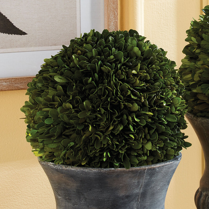 Boxwood Ball